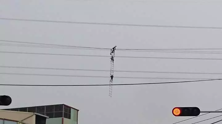 網友以為「電線上勾到甚麼東西」嚇得馬上報警,走近一看才發現全是「活生生的人」啊!
