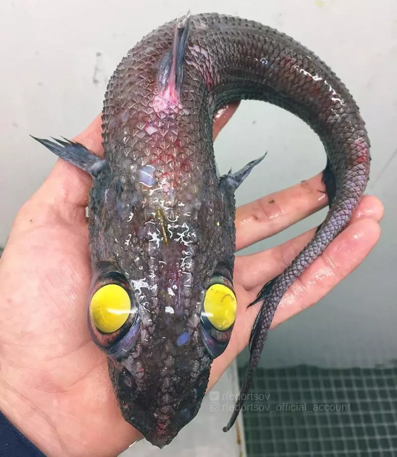 「海溝插畫」證實人對深海一無所知 《鐵達尼號》大導深潛11000公尺曝驚人景象