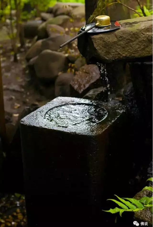 佛曰: 前世五百次的回眸, 才換來今生的擦肩而過!今生相逢便是緣分,應好好珍惜!!
