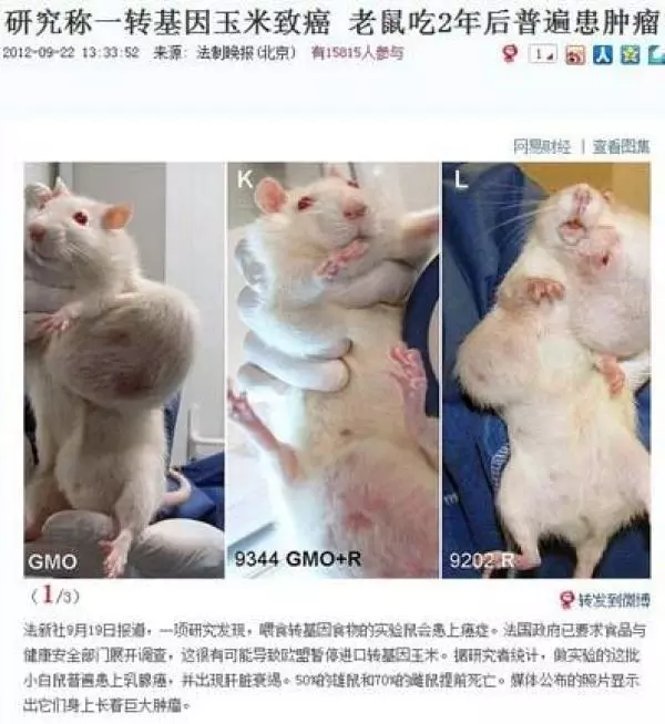 恐怖!工作人員冒死偷拍的真相!根本泯滅人性!你吃下去的「這些東西」真的配稱上食物嗎…?