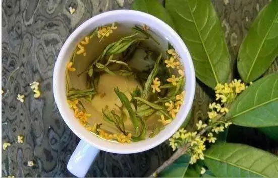 它是口臭的「對家」,1天喝1杯,排毒抑菌,呵氣如蘭體重降!