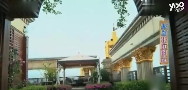 張庭豪宅曝光,一間房全是鞋還帶空中花園,網友:李湘家輸了!