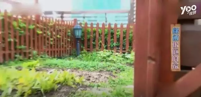 張庭豪宅曝光,一間房全是鞋還帶空中花園,網友:李湘家輸了!