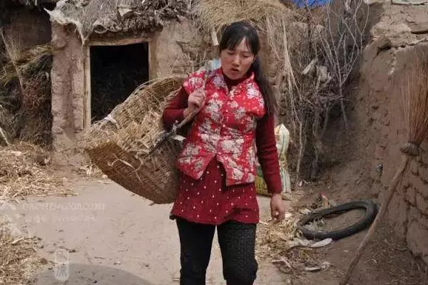 乾得好!婆婆搶兒媳娘家的房子,哥哥動下手指就擺平了婆婆