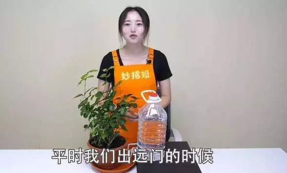 空寶特瓶不要仍!插上2根吸管「省錢又實用」超猛!用途鄰居看了紛紛效仿!