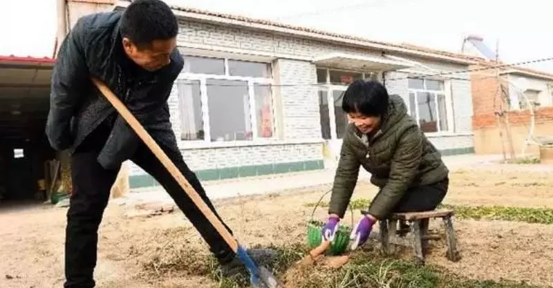 老公沒有雙臂,老婆沒有雙腿,卻讓網友很羨慕:「兩個人在一起什麼都能做到」