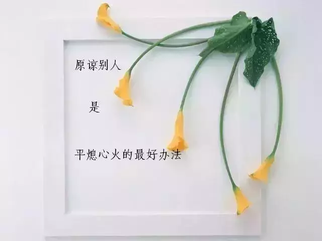 人生,就是一邊走,一邊學