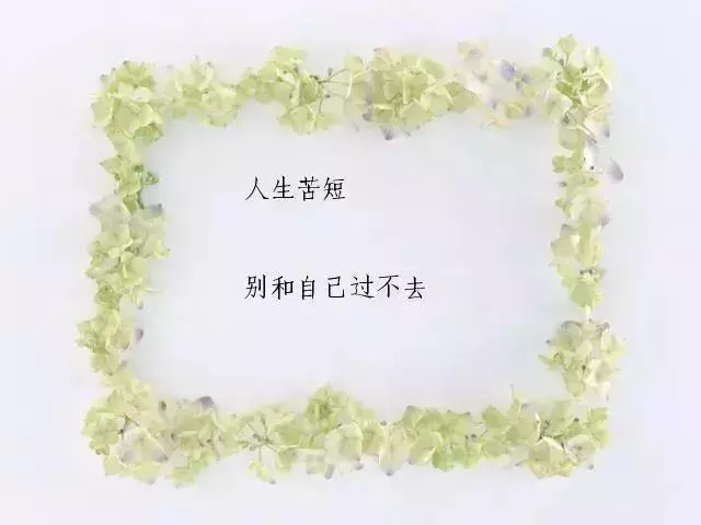 人生,就是一邊走,一邊學