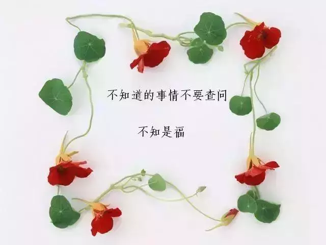 人生,就是一邊走,一邊學