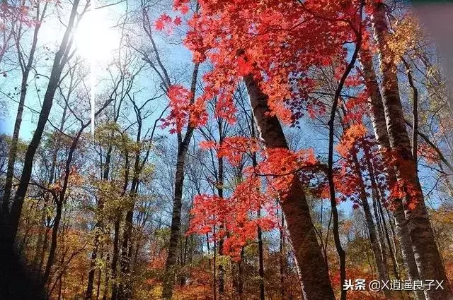 人生需要沉澱,寧靜才能致遠