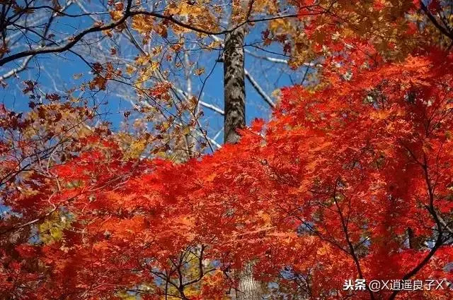 人生需要沉澱,寧靜才能致遠