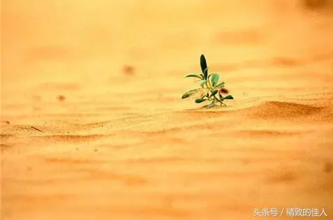 借錢給你容易,為什麼要你還錢那麼難?