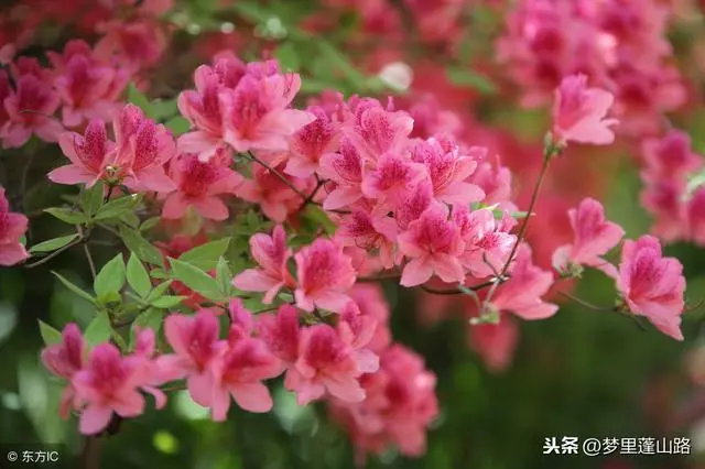 前夫有難,她轉身離婚,後夫有難,她同甘共苦,實在是令人費解