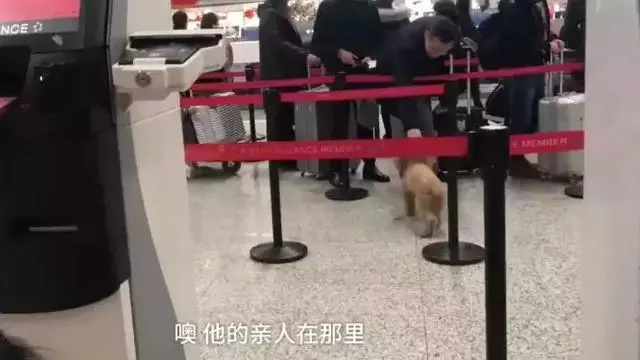 媽喊不能去「機場內拔腿狂奔」!撲向把拔懷抱:嗚嗚你不要走~
