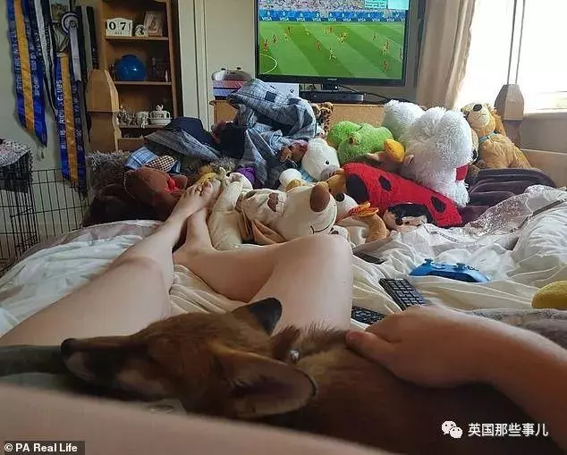 狐狸寶寶「一睜眼先看到她」!跑來認媽「撒嬌又愛玩」連狗狗都被收服~