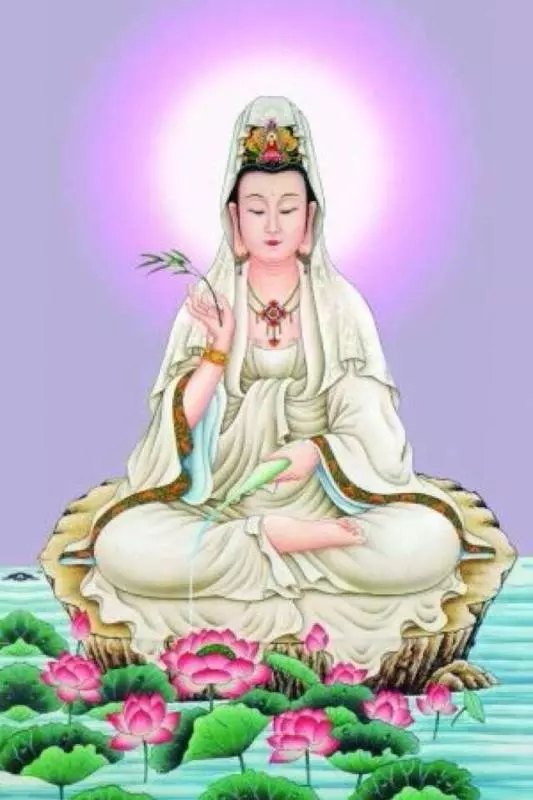 觀音賜福【前九名的生肖】新年有好運