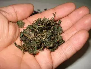 「經典治發秘方」當年禿頭的我,用它來洗頭,現在滿頭烏髮! 朋友還以為是假髮呢!!
