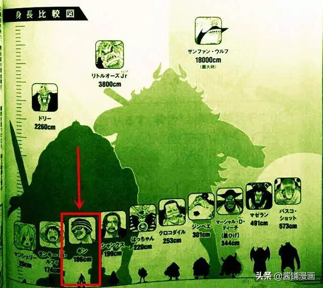 海賊王官方情報:尾田研究鬼人阿金的排名,真男人阿金不久會登場