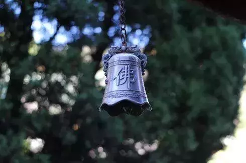 佛說:來是偶然,走是必然!