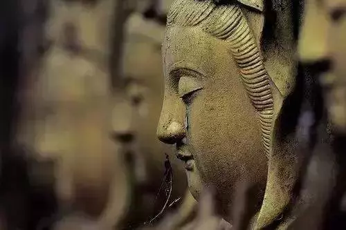 佛說:來是偶然,走是必然!