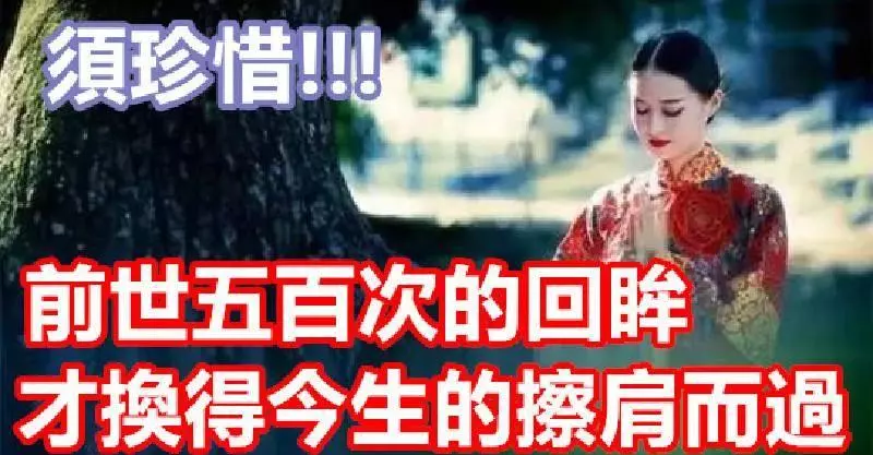 佛曰: 前世五百次的回眸, 才換來今生的擦肩而過!今生相逢便是緣分,應好好珍惜!!
