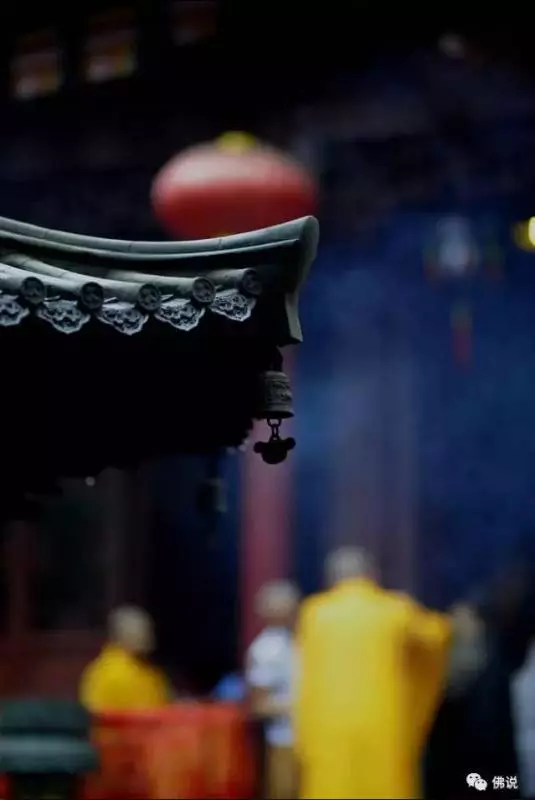 佛曰: 前世五百次的回眸, 才換來今生的擦肩而過!今生相逢便是緣分,應好好珍惜!!