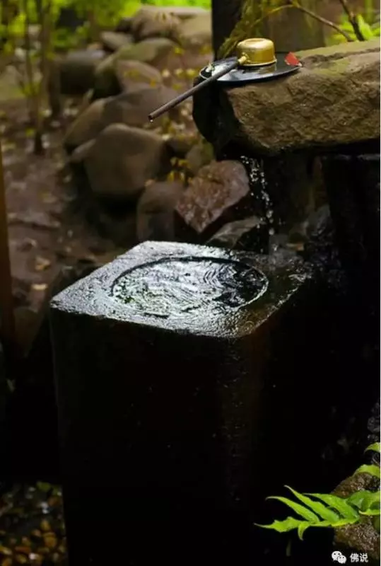 佛曰: 前世五百次的回眸, 才換來今生的擦肩而過!今生相逢便是緣分,應好好珍惜!!