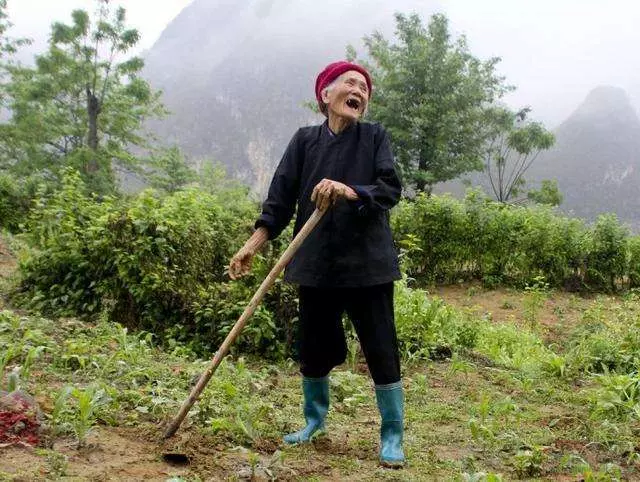 長壽老人愛吃的5類食物,長壽其實很簡單,多數人傻傻忽略了