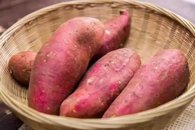 長壽老人愛吃的5類食物,長壽其實很簡單,多數人傻傻忽略了