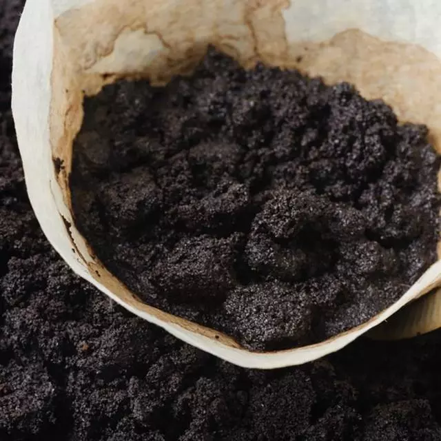 若想喝一杯完美的咖啡,就不要再犯這11點錯誤,不然就隨便喝喝吧