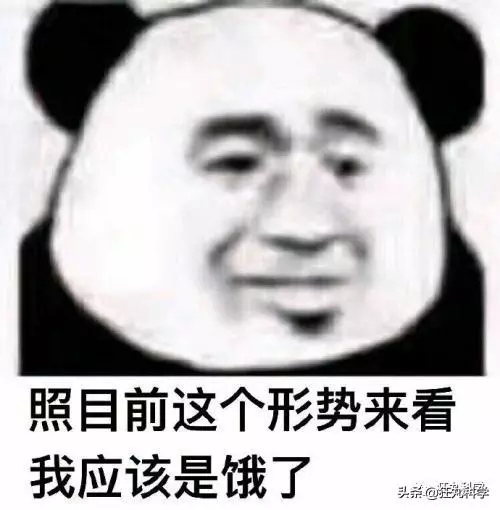 先凍死自己再靠憋尿復活,有些動物為了過冬竟然用上了超能力