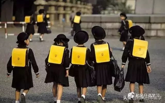 為什麼日本人喜歡進門就脫鞋?!原來背後理由這麼讓人敬佩……