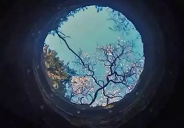能看懂這些圖片的人,都是有故事的人....你看懂幾張?