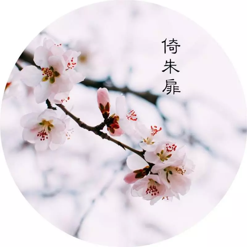新年桃花運排行,2019年桃花氾濫的4大生肖,一定要好好抓住機會