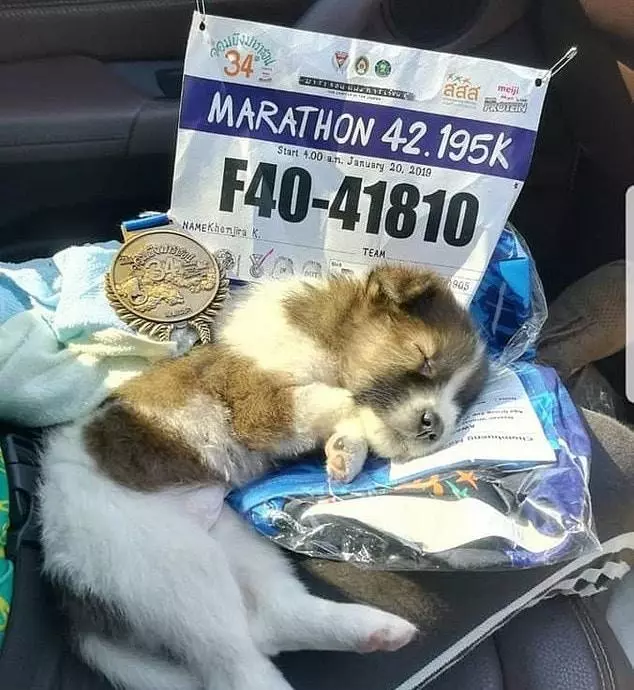 馬拉松選手比賽遇迷路狗,為避免被踩踏,犧牲成績抱著它跑完全程