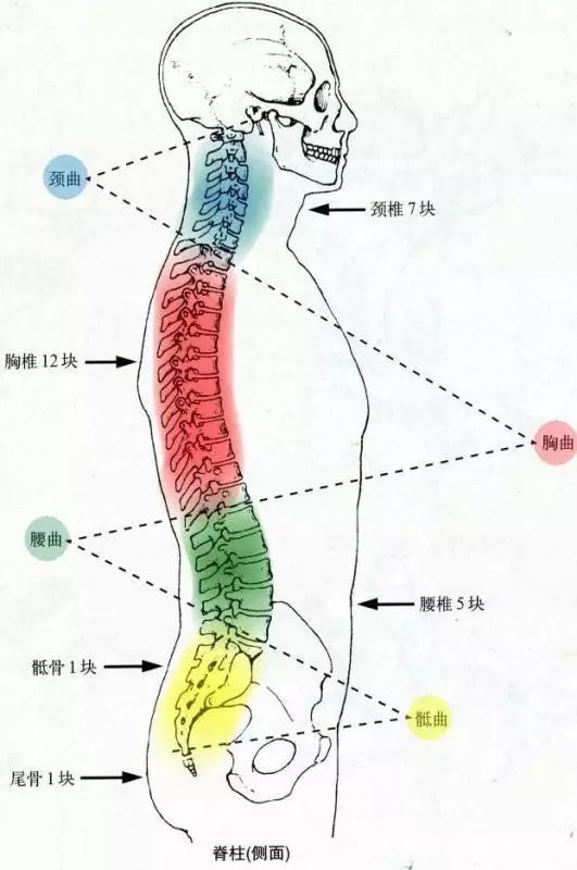 寶寶脊椎生理彎曲形成之前,這些姿勢、動作要盡量避免