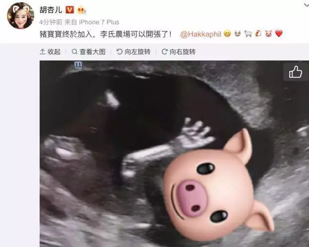 胡杏兒宣布懷孕後首次現身,與陳展鵬孕妻相聚,奕霆仔又搶鏡了