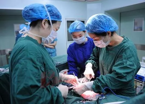 孕婦十月懷胎卻天天在打麻將,看到孩子出生後,醫生嚇得腿發軟