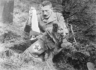 軍犬在路上遛彎時,突然暴起將路人咬死,背後的原因讓人震撼