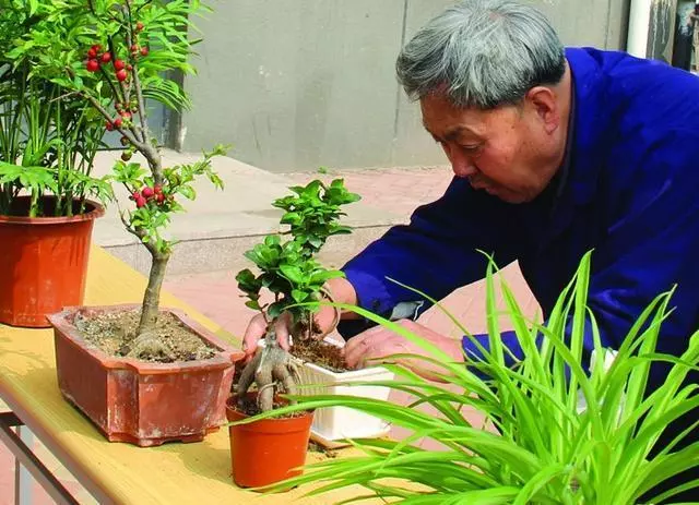 養花不要在傻傻的只知道澆水了,花都澆死了,老花農教你一個訣竅,養花都能輕鬆爆盆