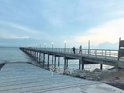 【泰國合艾爆發基孔肯雅症】衛生部最新證實已來到大馬了!這新村已多人中了