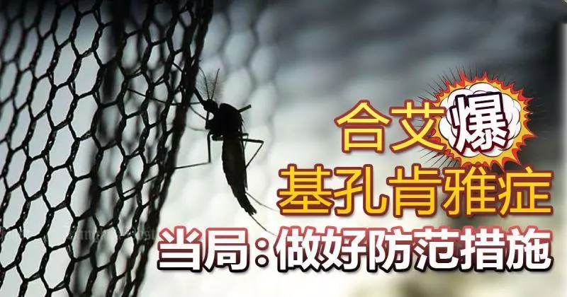 【泰國合艾爆發基孔肯雅症】衛生部最新證實已來到大馬了!這新村已多人中了