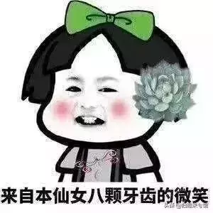 收下這份「春節自救指南」 親戚問答全不怕!