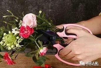 盆景製作要用什麼工具!
