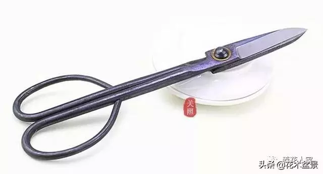 盆景製作要用什麼工具!