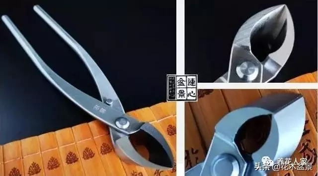 盆景製作要用什麼工具!