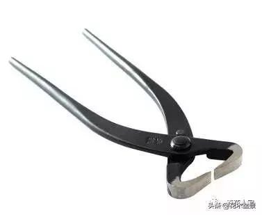 盆景製作要用什麼工具!