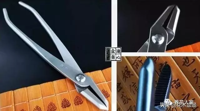 盆景製作要用什麼工具!