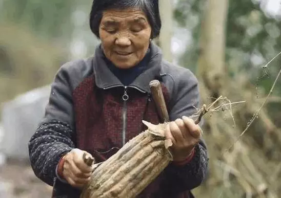 婆婆生日只有兒媳來,兒媳走後婆婆偷偷跟去,看到兒子,蒙了