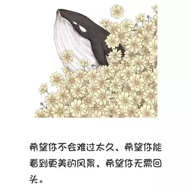不聯繫,不打擾,是我對你最後的愛